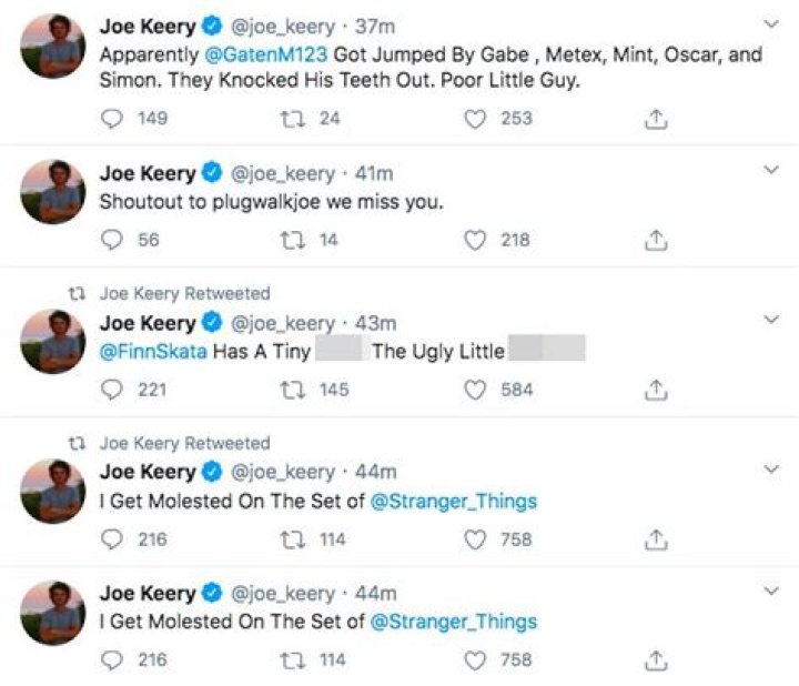 'Stranger Things' Joe Keery's Hacked Twitter Posts Racist Tweets