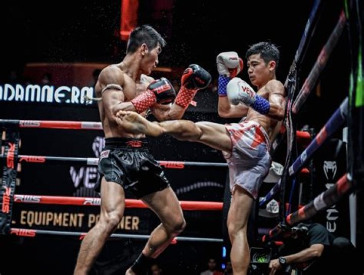 4 reasons to buy/not buy Elite SRS Muay Thai 2.0