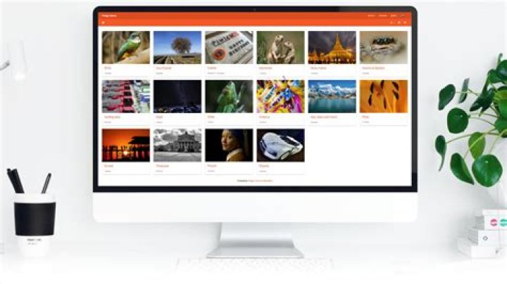 Best image hosting website of 2024