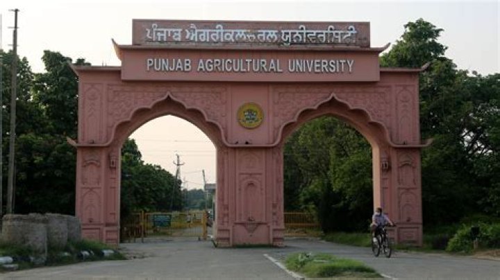 Discovering PAU Prim: A Look at Punjab Agricultural University's Core Impact