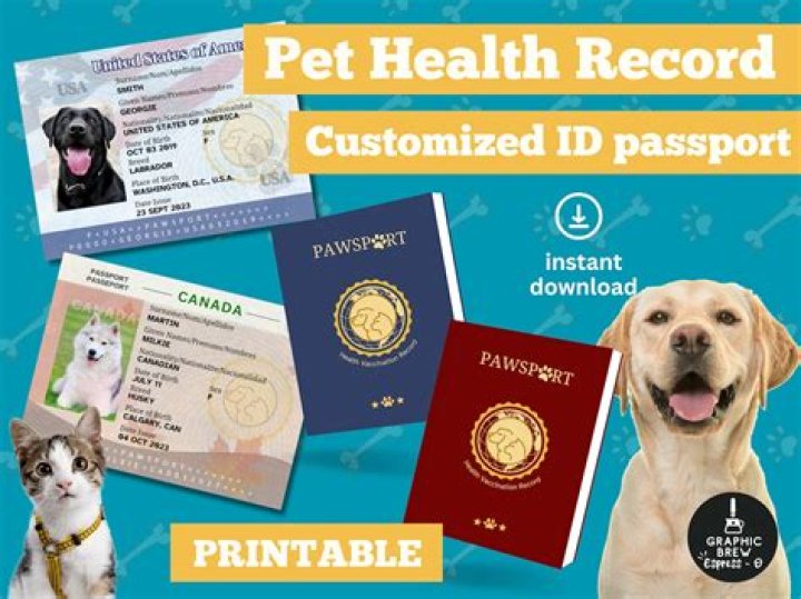 Discovering ymaal.com: Your Go-To Spot for Pet Health and Crypto Insights