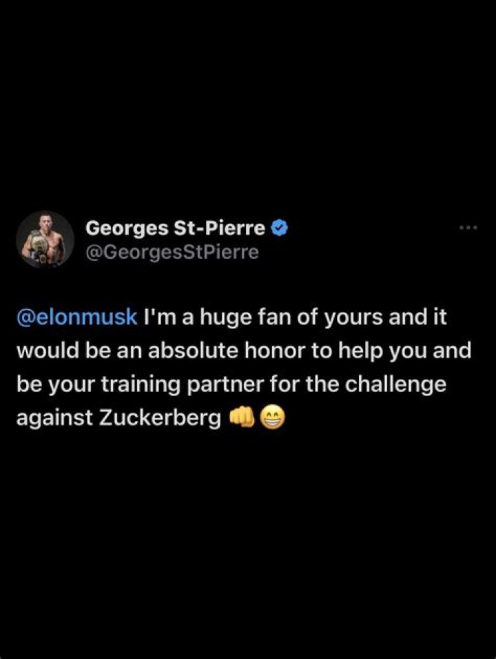 George St. Pierre's Net Worth (Updated 2024)