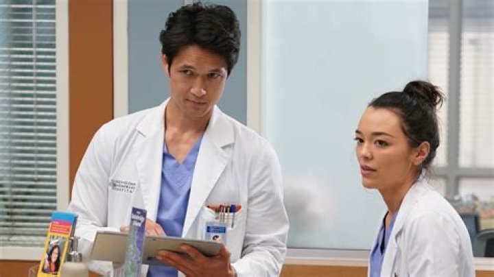 Grey's Anatomy: Season 14 | Rotten Tomatoes
