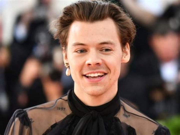 Harry Styles Wiki, Height, Weight, Age, Girlfriend, Family, Biography & More