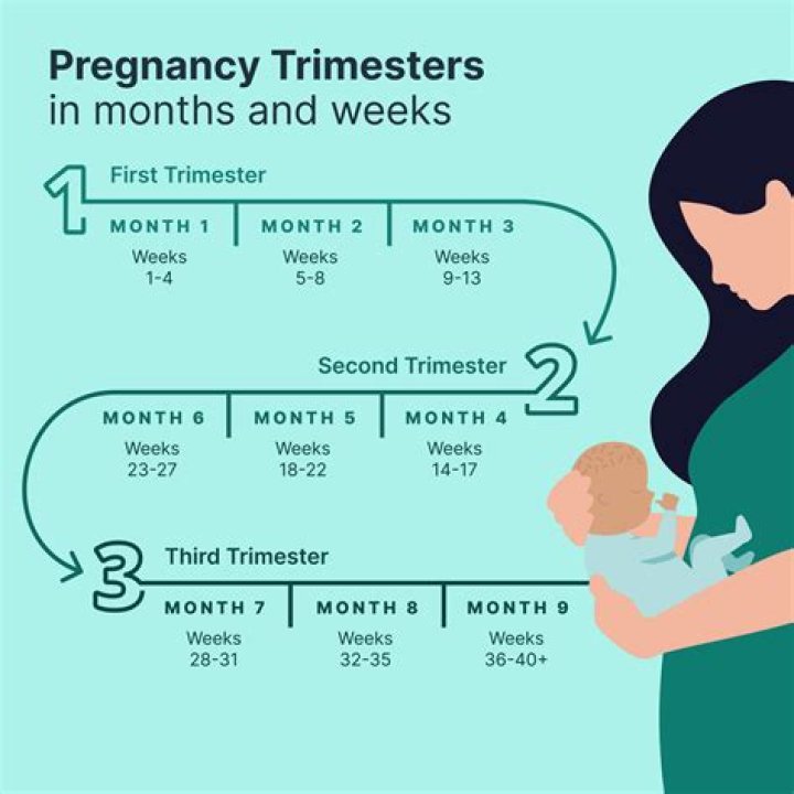 How Many Weeks of Love Island: Unpacking the Summer of Romance