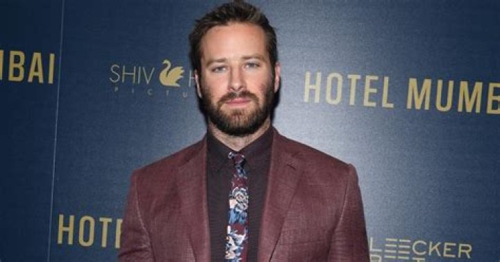 Is Armie Hammer Heir to Arm & Hammer? Connection, Explained