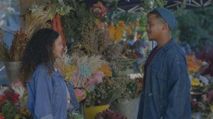 Jayma Mays: A Look at the Enduring Charm of a Unique Talent