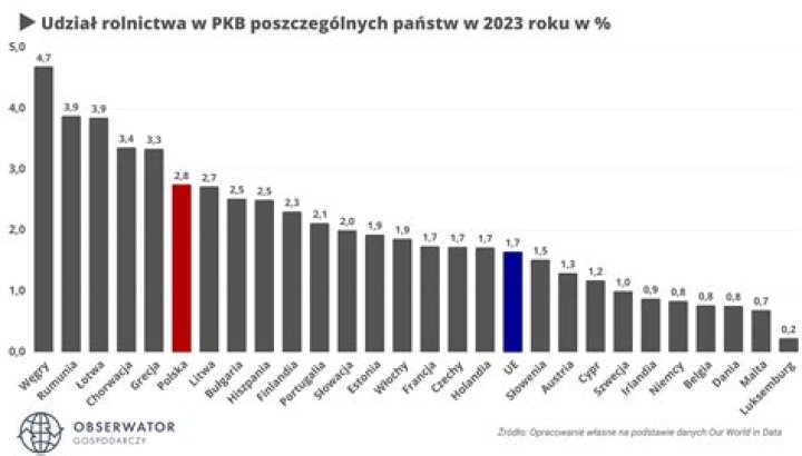 Kompleksowy przewodnik po najlepszych platformach newsletterowych w 2024 roku