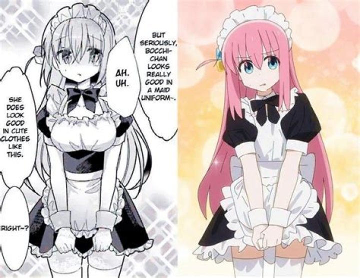 MangaBuddy Not Loading? What's Happening with Your Go-To Manga Site Right Now?