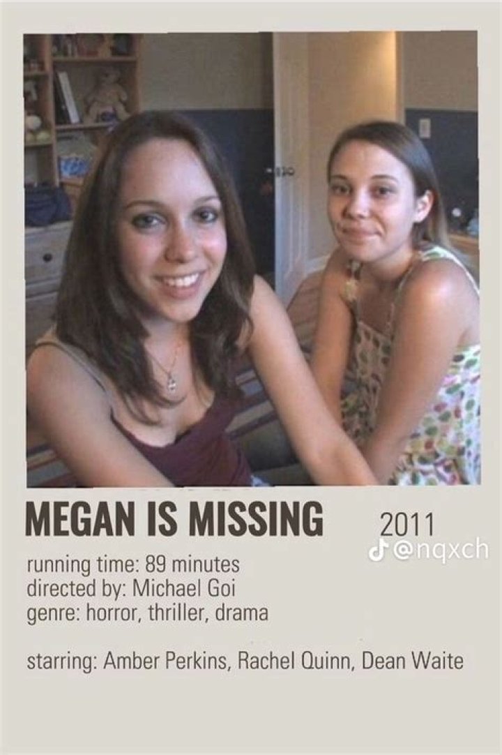 Megan Missing Photos: Uncovering Visuals from the AI Companion's World