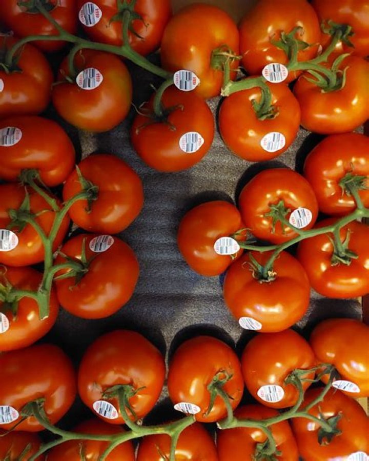 Nick LaMantia | Rotten Tomatoes