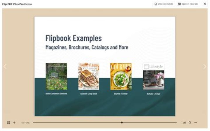 ¿PDF o Flipbook? ¿Qué es mejor?