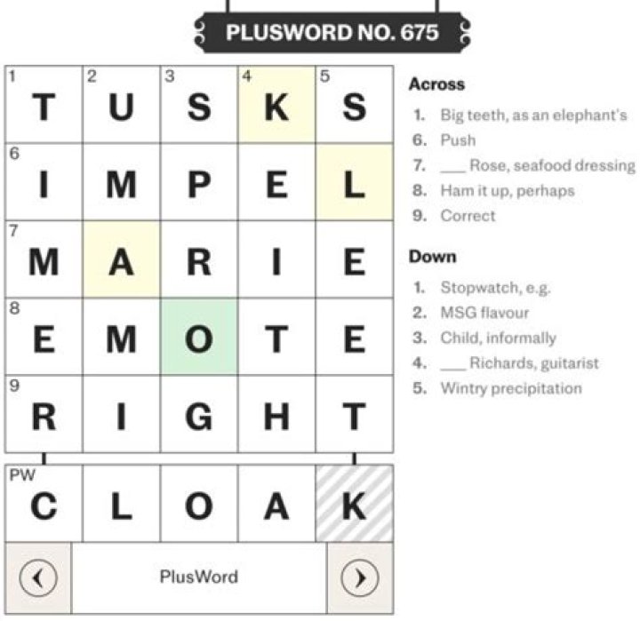 PlusWord No 641 Crossword Clue Puzzle Answer With 5 letters