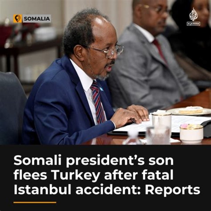 Somali President's Son Flees Turkey After Deadly Crash, Media Report Says