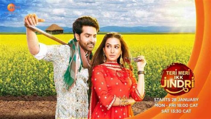 Teri Meri Ikk Jindri​ (Zee TV) Actors, Cast & Crew » StarsUnfolded