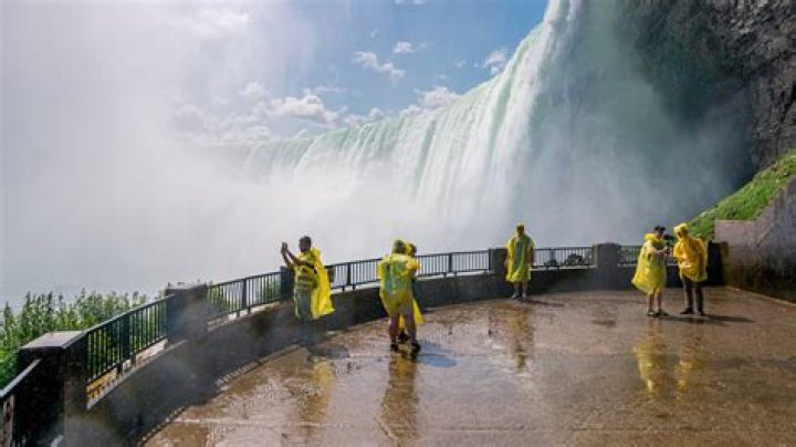 The Enduring Spark: Exploring the Journey Behind Naomi Nakamura