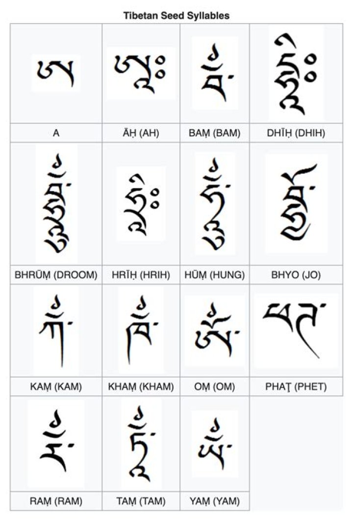 The Tibetan script on her back.