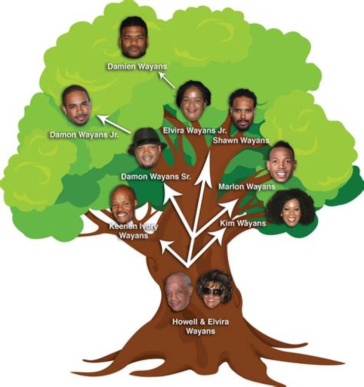 The Wayans Family Tree: Unpacking Decades of Laughter and Legacy