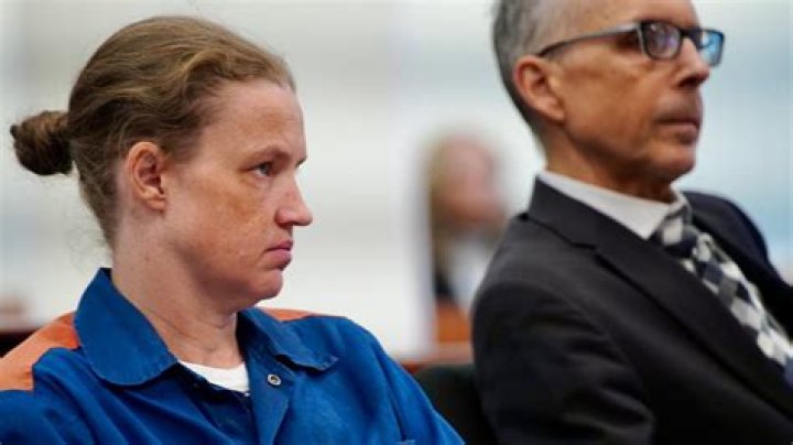 Understanding Shanda Vander Ark: Exploring the Details of a Difficult Case and Related Information