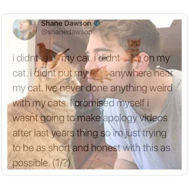 Understanding the Shane Dawson Cat Allegations: A Look Back