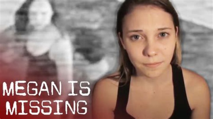 Unpacking the Impact: What You Need to Know About Megan Is Missing Pictures