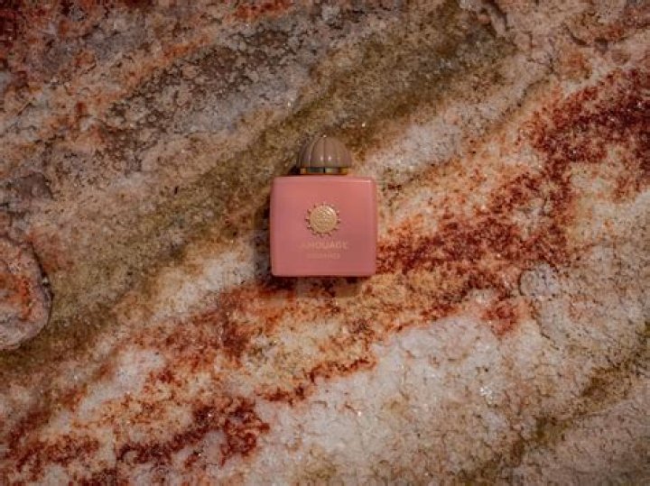 Unraveling the World of IFSA SOTWE: A Deep Dive into Global Impact