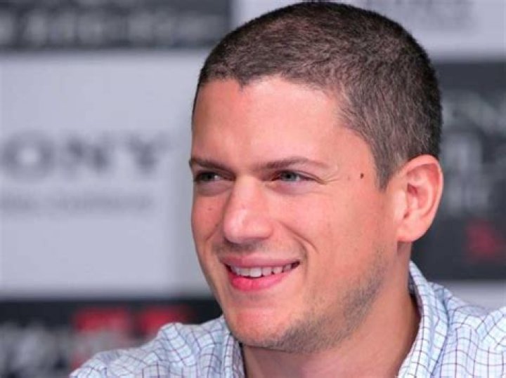 Wentworth Miller Biography, Age, Wiki, Height, Weight, Girlfriend, Family & More