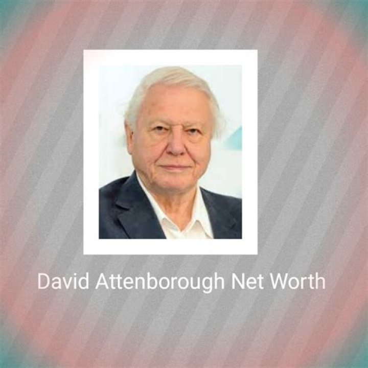 What Is David Attenborough's Net Worth in 2022?