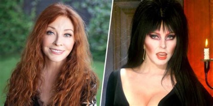 What is Elvira's Real Name? Unmasking the Mistress of the Dark