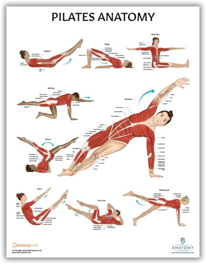 Which Muscles Does Pilates Work? Trainers Break it Down