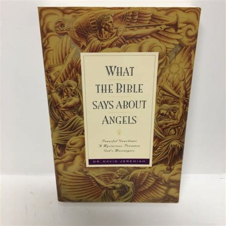 Who is Angel Fernandez? A Deep Look into What the Bible Says About Angels